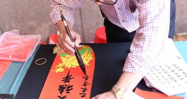 喜氣”羊羊”賀新春，福到春到迎好年